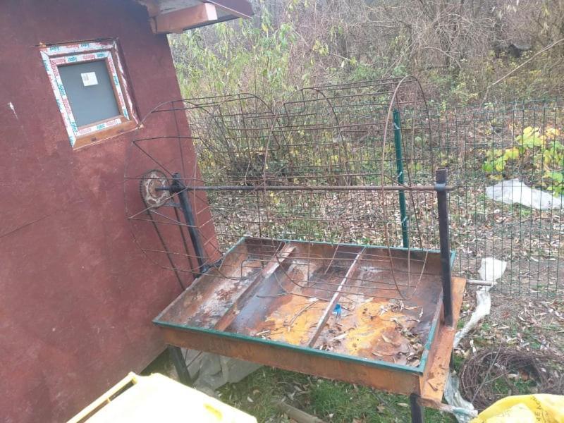 Villa Popasul Dacilor Predelut Esterno foto