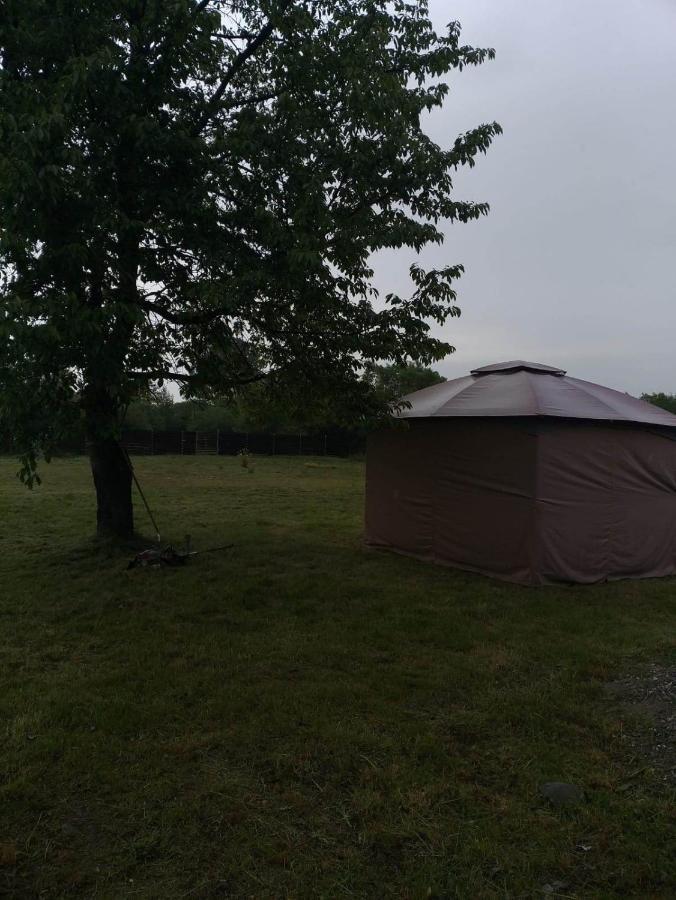 Villa Popasul Dacilor Predelut Esterno foto