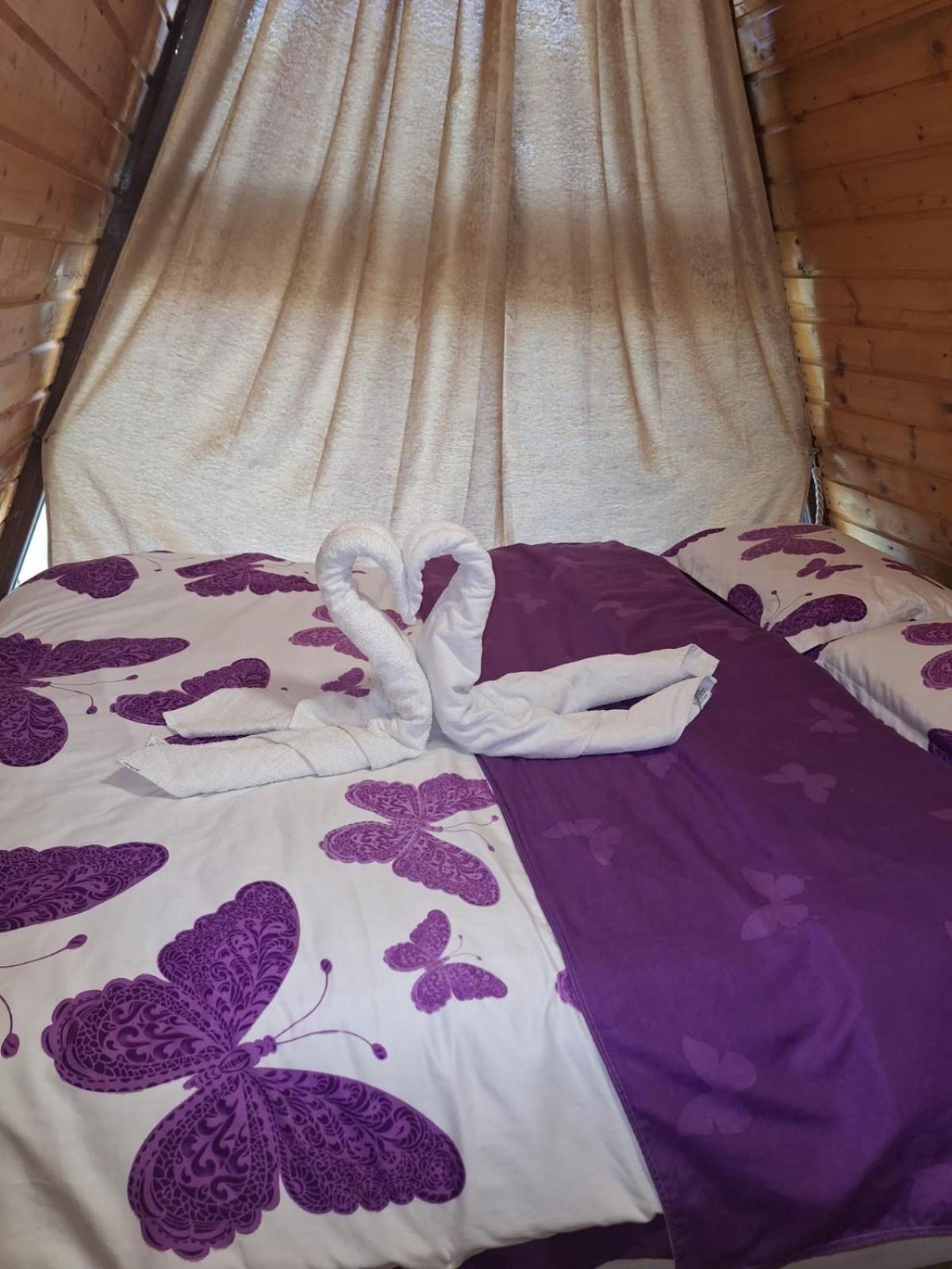 Villa Popasul Dacilor Predelut Esterno foto